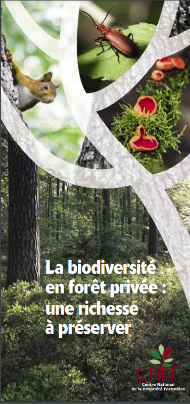 Biodiversité en forêt privée.
