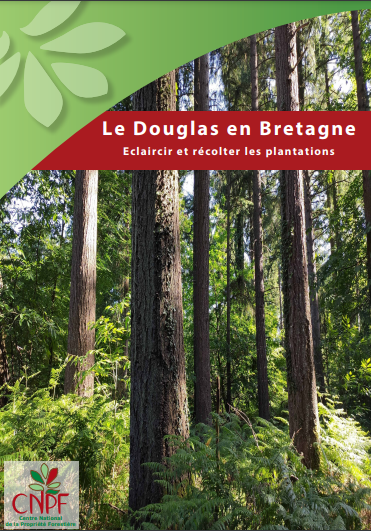 Le Douglas en Bretagne : éclaircir et récolter 