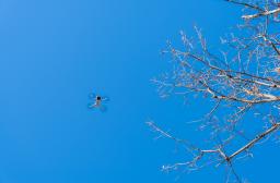 RF15 drone_Olivier Martineau