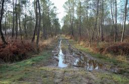 RF10_BRPL_DFCI Bretagne