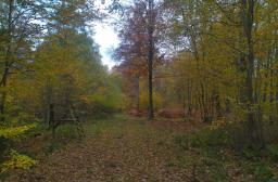RF17_BRPL_Equilibre forêt-gibier