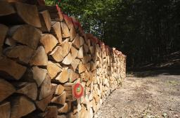 RF22_BRPL_Bois de chauffage
