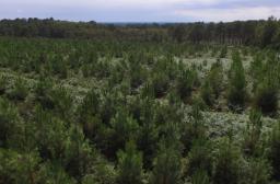 RF_BRPL_Pin maritime