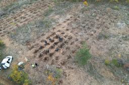 RF5_BRPL_Label bas carbone