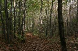 RF6_BRPL_Guide des stations