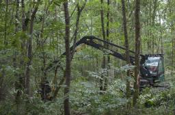 mecanisation feuillue