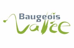 logo Baugeois Vallée
