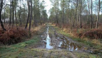 RF10_BRPL_DFCI Bretagne