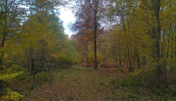 RF17_BRPL_Equilibre forêt-gibier