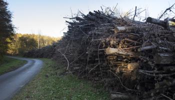 RF19_BRPL_Bois énergie