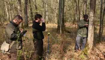 RF20_BRPL_Expérimentation