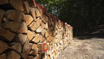 RF22_BRPL_Bois de chauffage