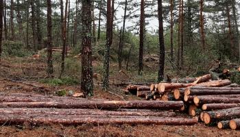 RF23_BRPL_Reception chantier