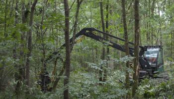 mecanisation feuillue