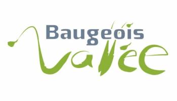 logo Baugeois Vallée
