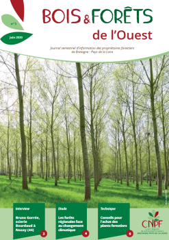 Bois et Forêt de l'Ouest N°5
