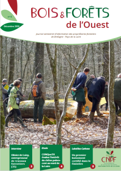 Bois et Forêt de l'Ouest N°6