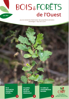 Bois et Forêt de l'Ouest N°7