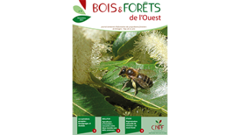 Bois et Forêt de l'Ouest 8