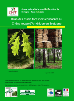 Synthèse Chêne rouge-Bretagne 