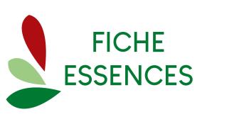 Fiche essences