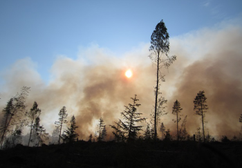 Incendie-2022