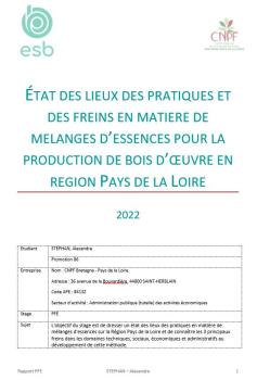 rapport de stage