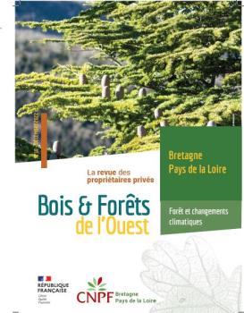 BFO10_couverture