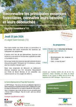 Invitation RF13