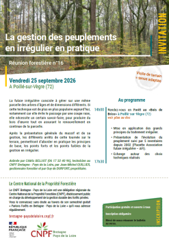 Invitation RF16