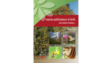 Insectes pollinisateurs et forêt