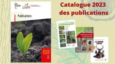 Catalogue des publications 2023 de l'IDF