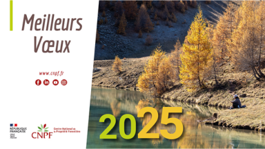 Voeux 2025 