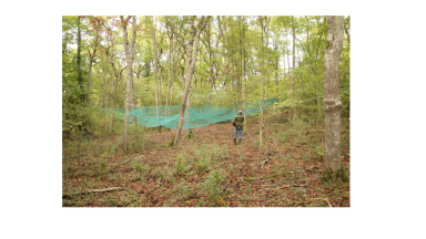 récolte graine - Jerome Rosa