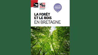 Image focus metiers bois