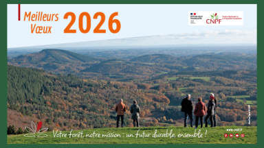 voeux 2026