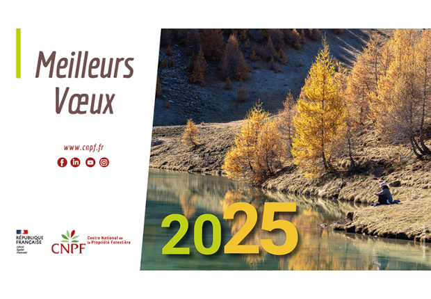 Voeux 2025 