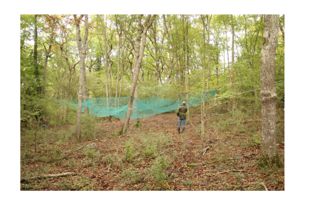 récolte graine - Jerome Rosa