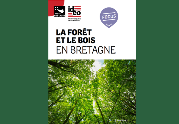 Image focus metiers bois