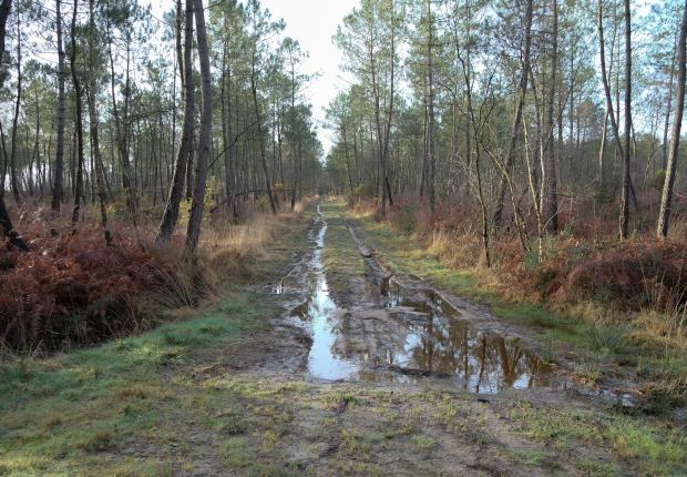 RF10_BRPL_DFCI Bretagne