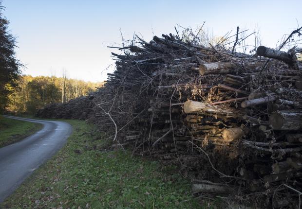 RF19_BRPL_Bois énergie