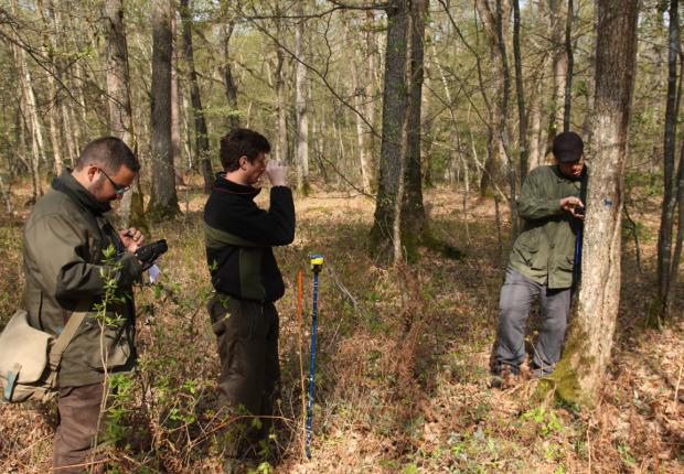 RF20_BRPL_Expérimentation