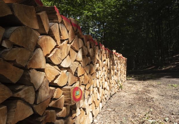 RF22_BRPL_Bois de chauffage