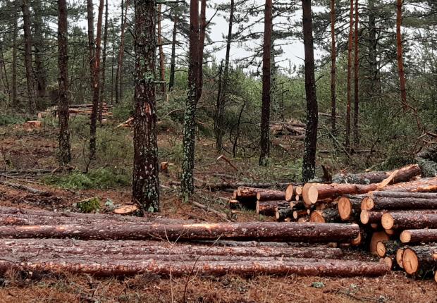 RF23_BRPL_Reception chantier