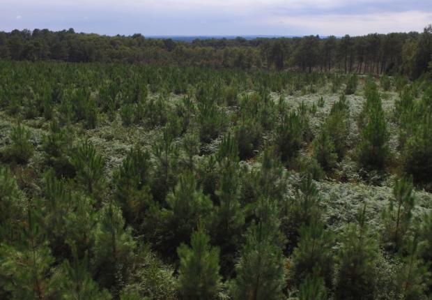 RF_BRPL_Pin maritime