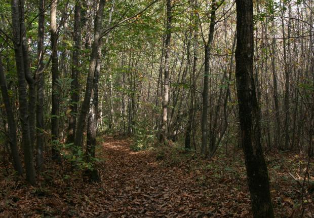 RF6_BRPL_Guide des stations