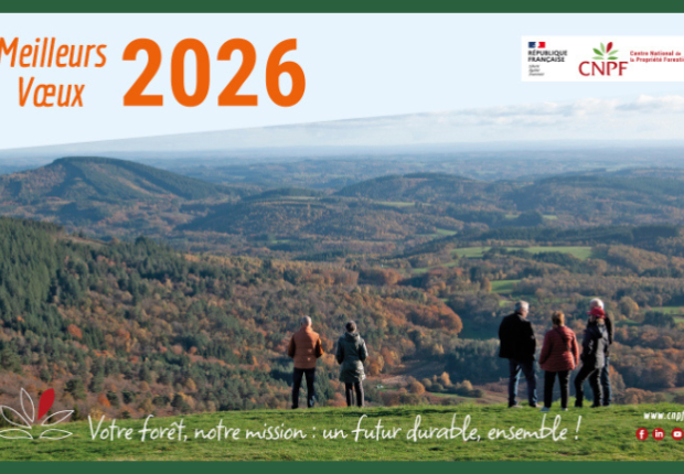 voeux 2026