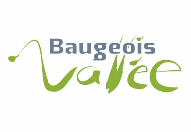 logo Baugeois Vallée