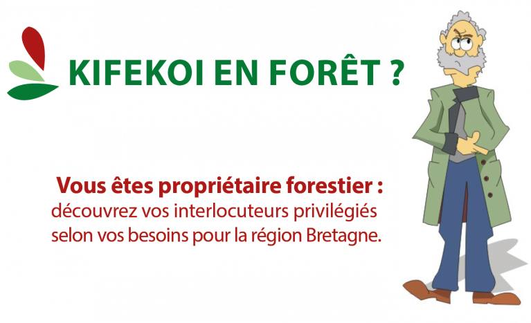 Kifékoi en forêt bretonne