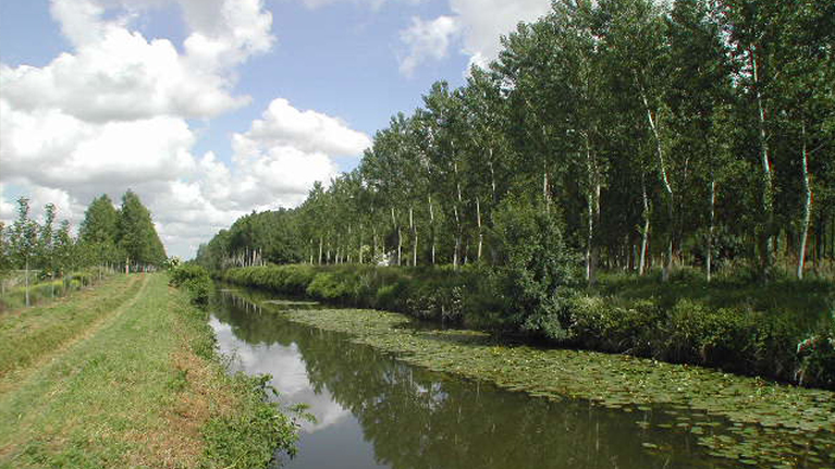 Maine-et-Loire ® Francis Barbotin